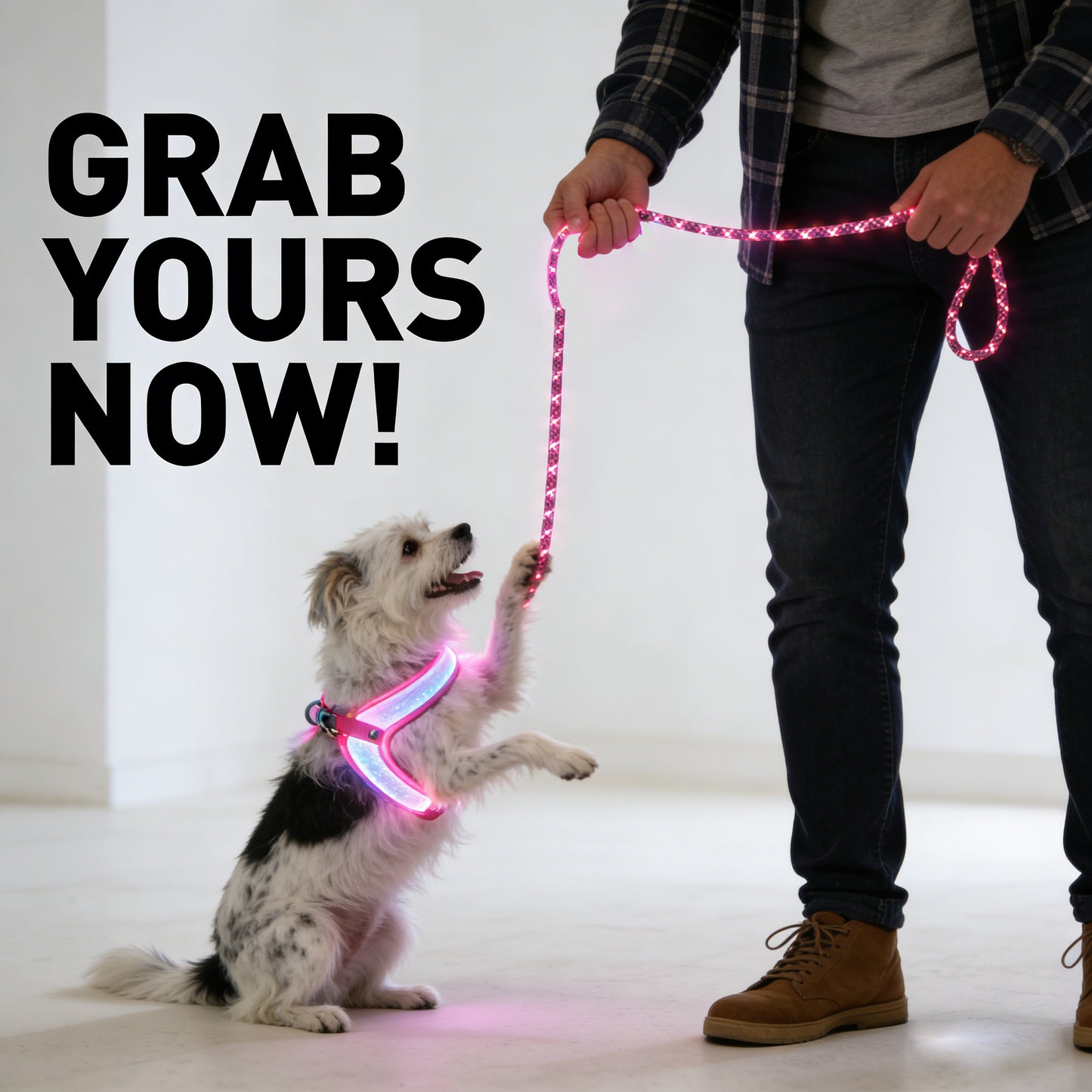 LED Dog Leash No Waves, No Heat, Just Light Night Walks Shouldn’t Be Dangerous.