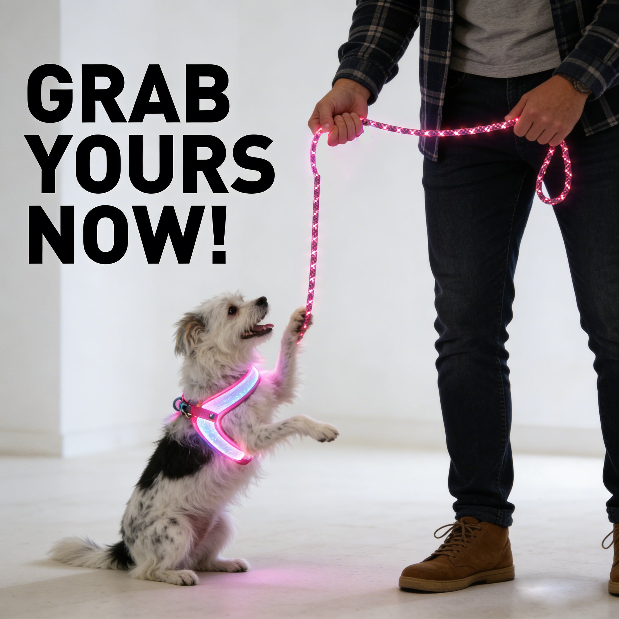 LED Dog Leash No Waves, No Heat, Just Light Night Walks Shouldn’t Be Dangerous.
