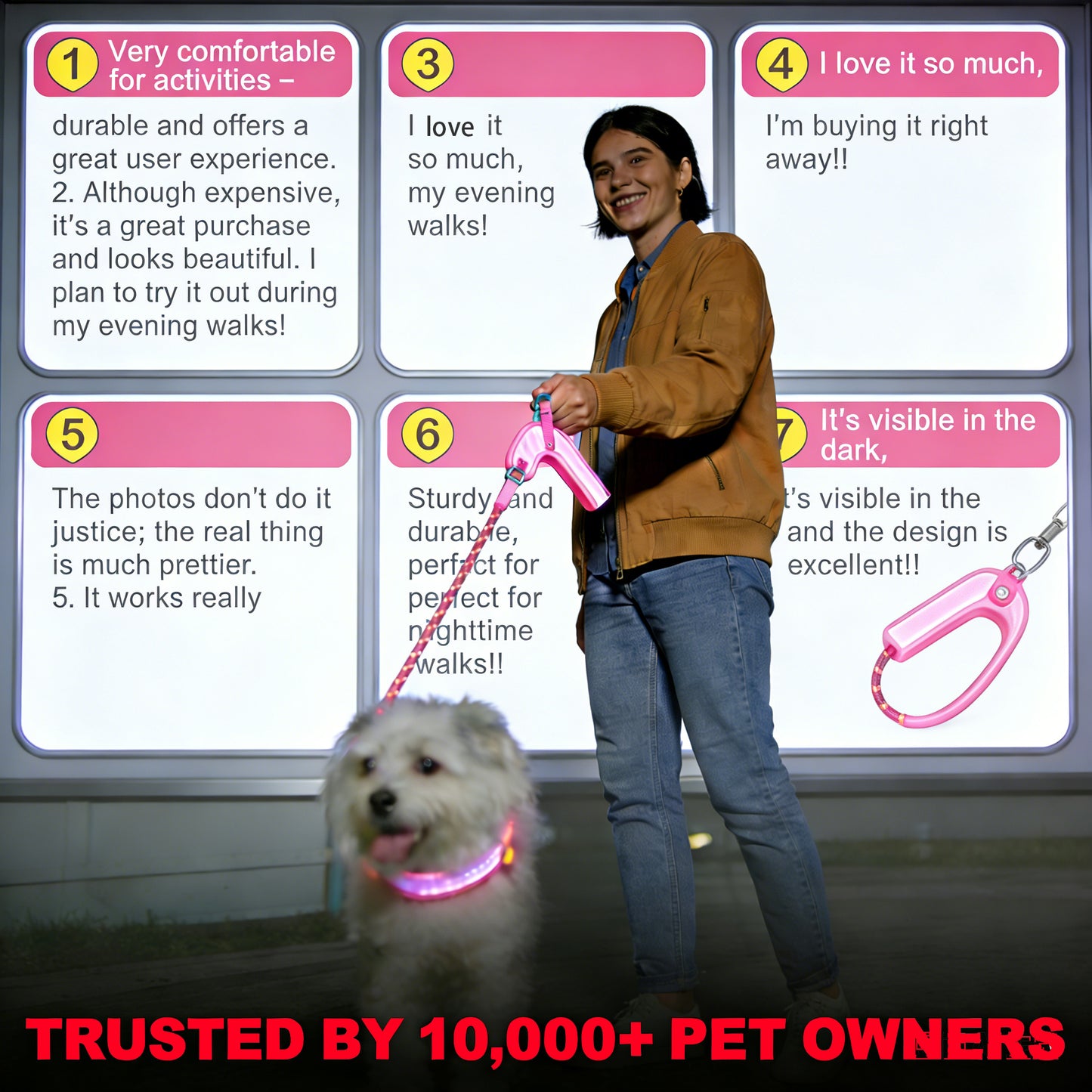 LED Dog Leash No Waves, No Heat, Just Light Night Walks Shouldn’t Be Dangerous.